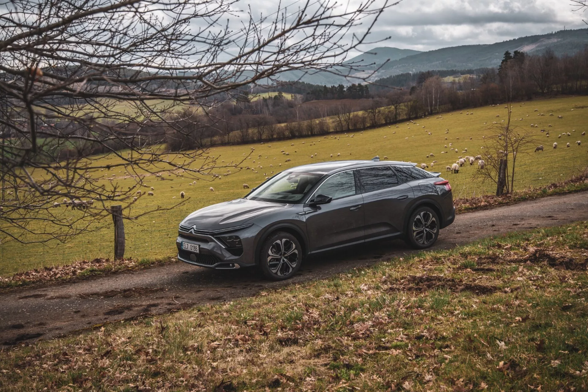 Citroen C5-X de 2022 estacionado diagonalmente numa paisagem campestre com um campo relvado e árvores, exibindo seu design de crossover elevado, linhas corporais nítidas, cor escura, rodas de liga e faróis LED