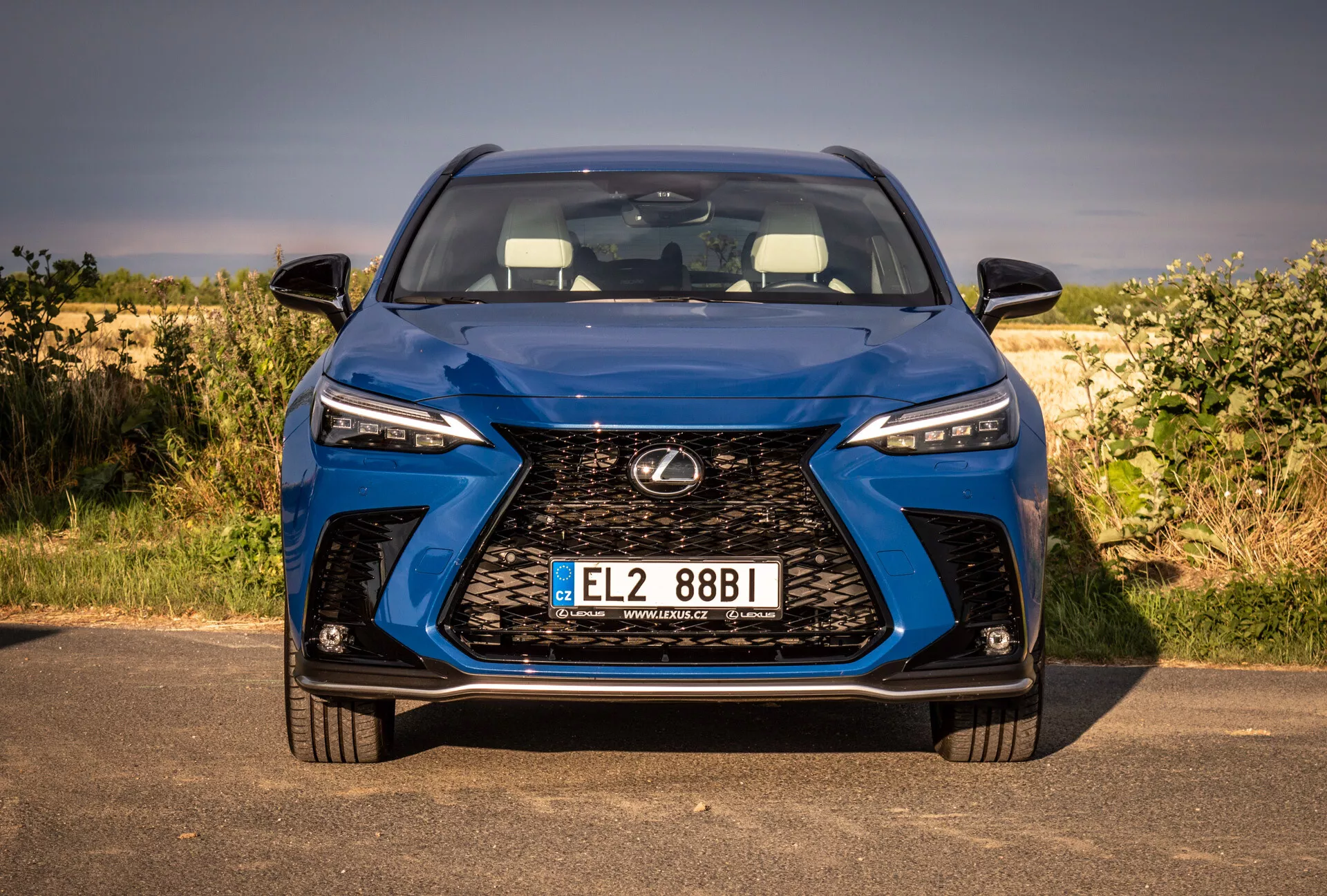 Vista frontal próxima do Lexus NX 2021 mostrando grade grande, faróis de LED e placa de licença, com foco em design e tecnologia em um ambiente natural.