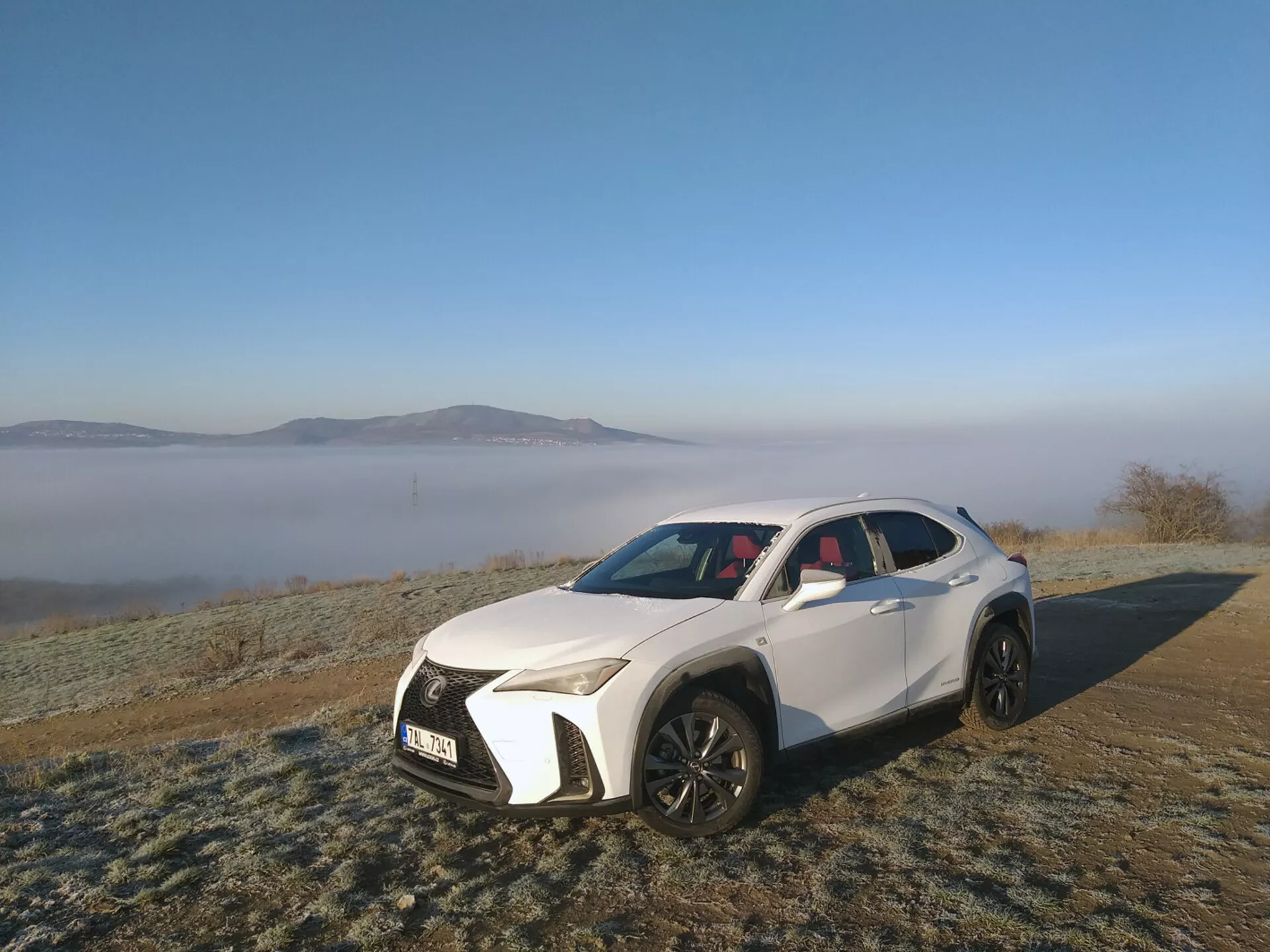 Veículo utilitário esportivo branco Lexus UX de 2019 estacionado ao ar livre em gramado coberto por geada, exibindo seus faróis LED angulares, grade frontal grande com padrão de malha, entradas de ar esportivas, capô contornado, rodas de liga leve multirraios pretas, teto solar panorâmico e elementos de design contemporâneo em um fundo matinal nebuloso.
