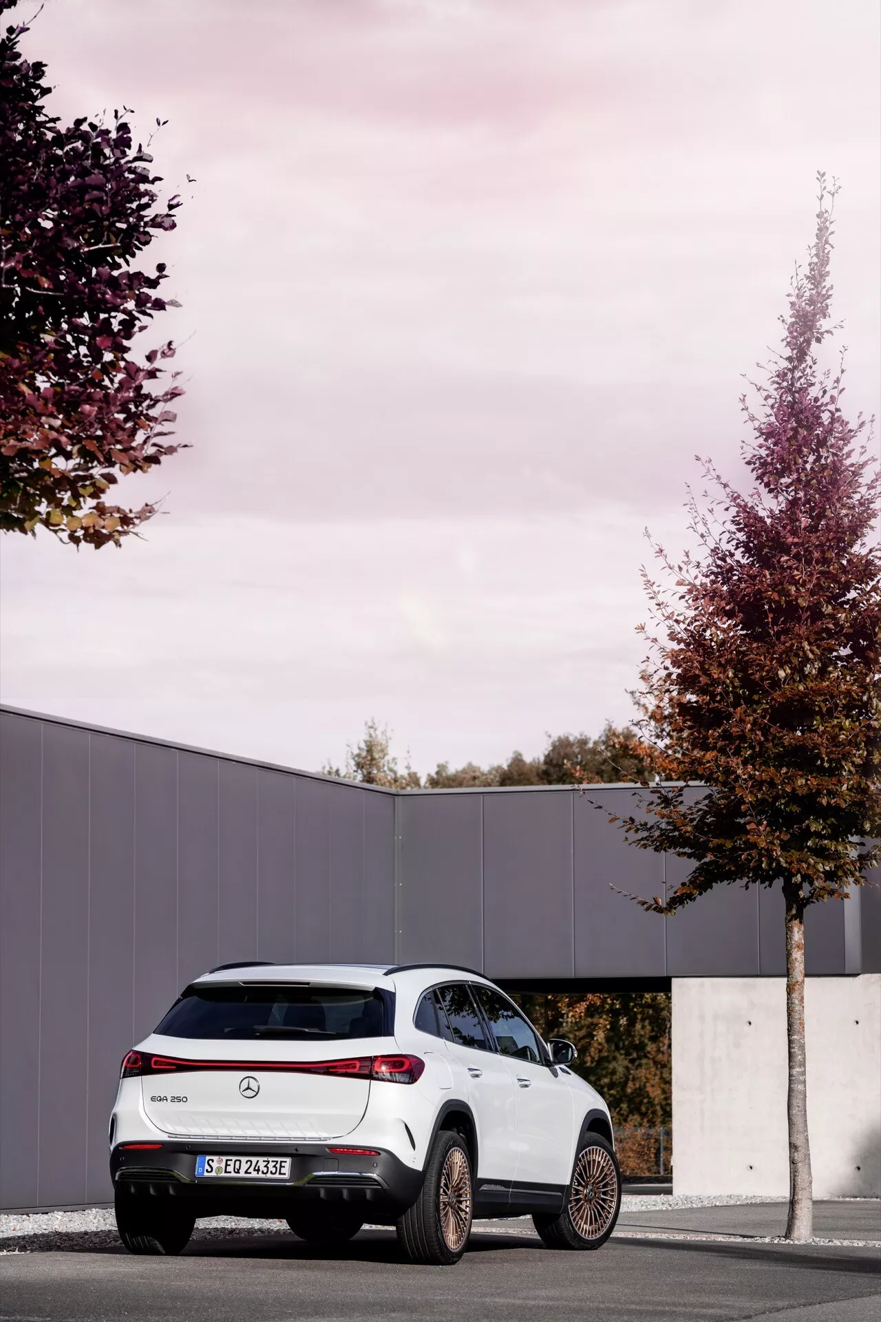Mercedes-Benz EQA 2021 em design moderno de SUV, exibindo uma vista traseira de três quartos estacionado ao ar livre com árvores de outono, destacando luzes traseiras, pontas de escape duplas, sensores de estacionamento, um spoiler elegante e rodas de liga leve contra um fundo de céu