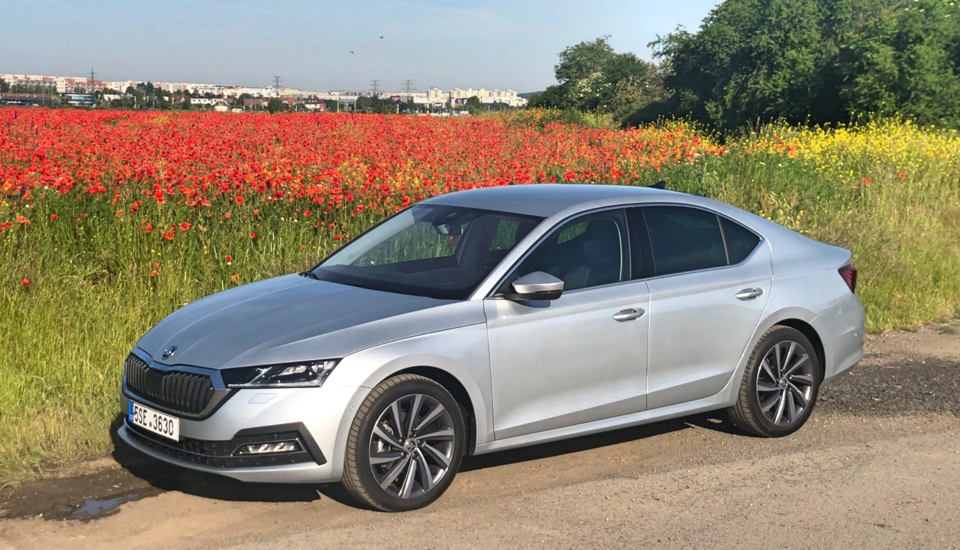 Imagem de um sedã Skoda Octavia 2020 em prata metálico claro, estacionado em um pedaço de terra ao lado de um campo de flores vermelhas, possivelmente papoulas, sob um céu claro. A fotografia captura todo o perfil do carro desde um ângulo lateral, enfatizando seu design limpo e moderno e seu acabamento brilhante. Os recursos visíveis incluem uma linha de ombro proeminente, espelhos laterais elegantes com sinais de seta integrados, maçanetas na cor do corpo, rodas de liga leve com vários raios, faróis de LED finos e uma grade parcialmente visível com um grande emblema central emoldurado por acentos cromados ou prateados. As luzes traseiras envolvem os painéis traseiros, e as janelas do carro têm uma tonalidade clara. A imagem mostra o perfil do veículo contra um fundo natural pitoresco, destacando sua estética contemporânea.