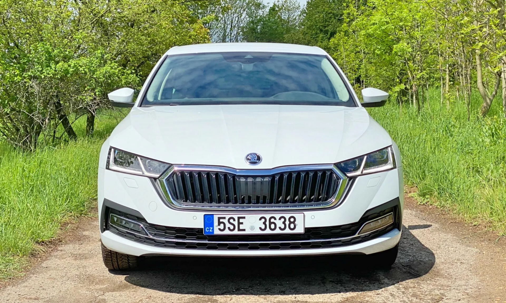 Vista frontal de um Skoda Octavia 2020 branco (Octavia-Limousine) em uma estrada de cascalho. A imagem captura toda a parte dianteira, incluindo a grade proeminente com lâminas verticais, os faróis LED elegantes, o para-choque dianteiro integrado de forma suave e as entradas de ar inferiores minimalistas. O capô apresenta linhas de contorno sutis e o emblema do fabricante está centralmente posicionado na grade. O carro está em um ambiente natural com vegetação e folhagem ao fundo.
